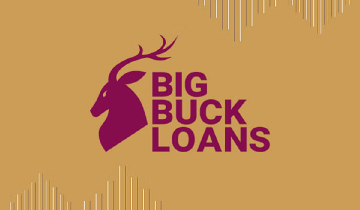 Big Buck Loans: Appreciating the High-Stakes Universe of Large-Scale Lending 1 Big Buck Loans Appreciating the High-Stakes Universe of Large-Scale Lending